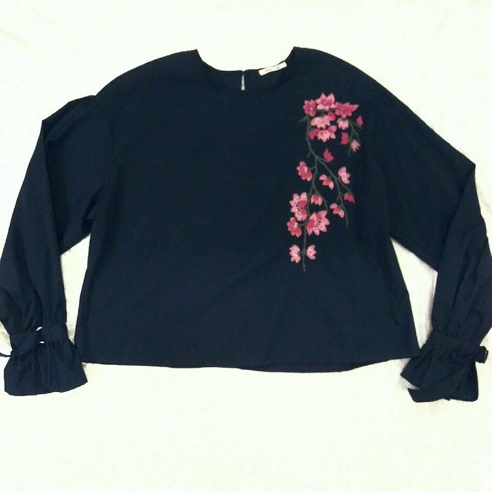Bleuh Ciel Blue Embroidered Crop Top Long Sleeves